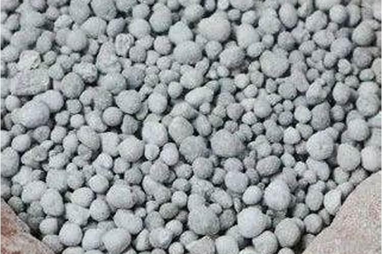 园林绿化冬季施肥要点