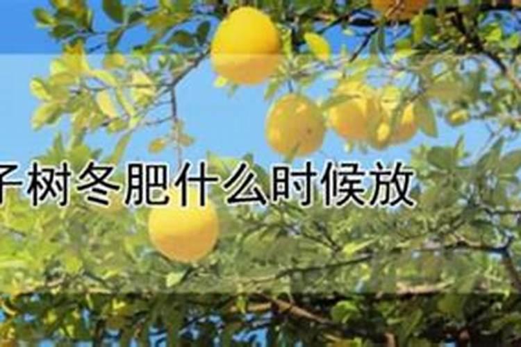 柚子树冬肥什么时候放 柚子树冬肥的肥料配比