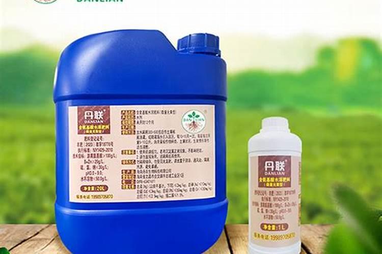 豆角种植怎样才能高产