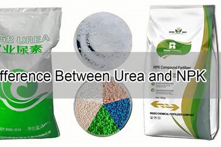 初中化学怎么区别尿素和钾肥