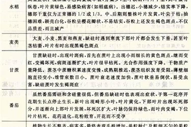 我国施用的硅肥有哪些品种？施用过多有哪些危害？