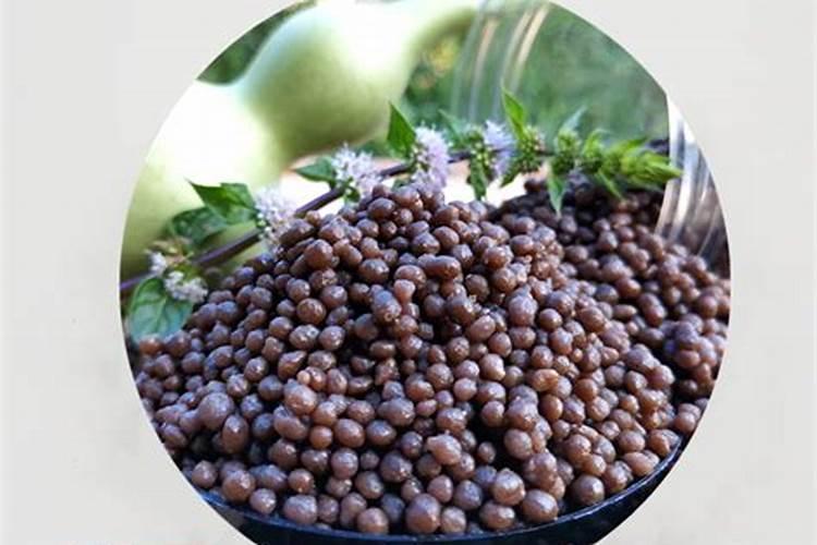 令箭荷花的养殖方法和注意事项