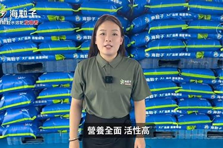 玉米的锌肥什么时候用堉产潜力大