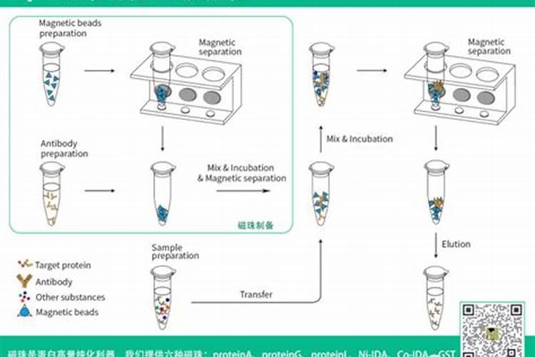 死鱼怎么样发酵可以做水肥？