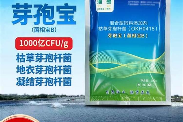 刚买来的猕猴桃树看着没芽,还能长出来吗