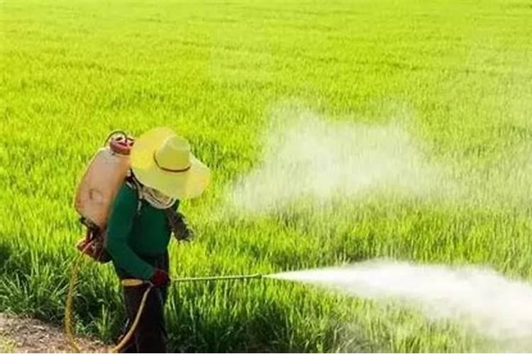 硼肥,钼肥和磷酸二氢钾能混合在一起喷施吗？