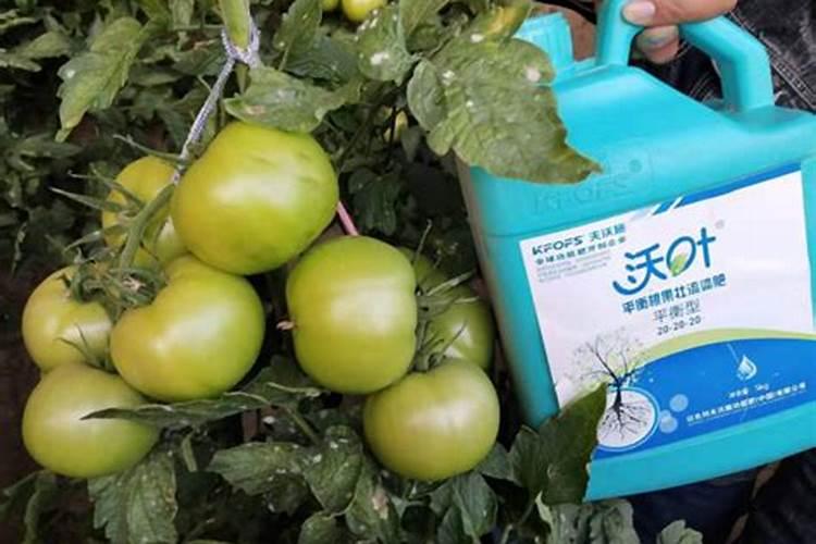 常用的杀菌剂有哪些