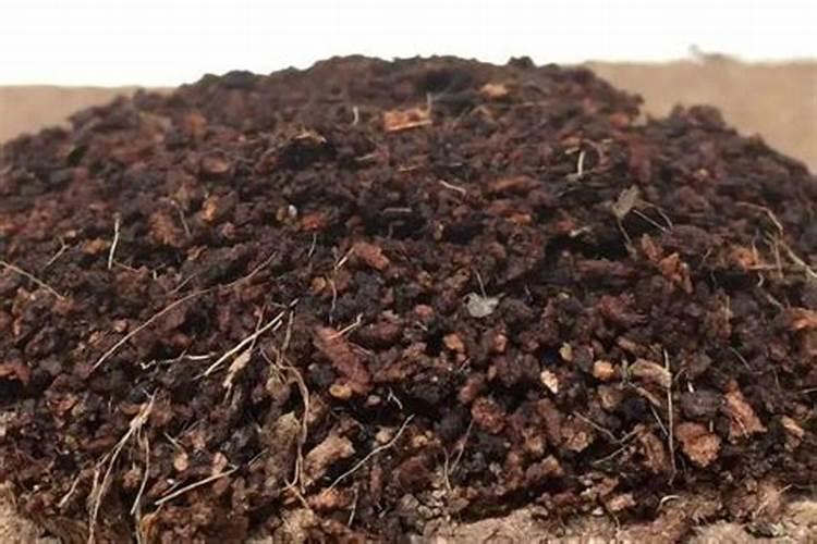 在楼顶种菜用什么土好