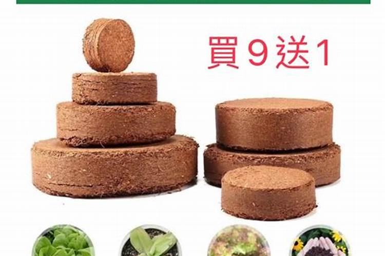 罗勒种子怎么种植