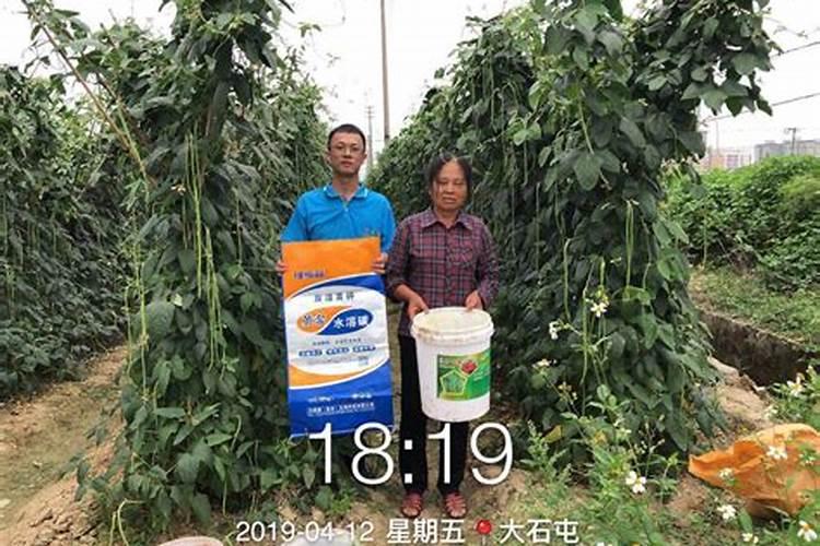 中国水溶肥十大品牌