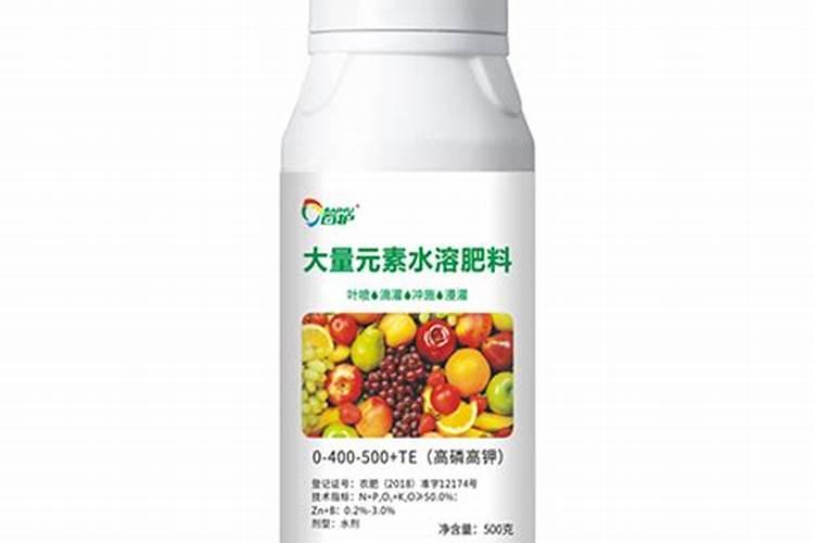 木香花的扦插种植养护方法