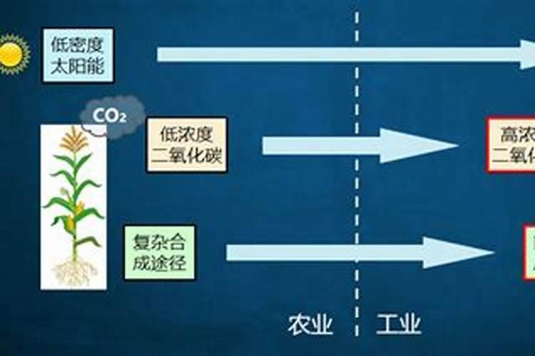 氮肥施用有哪些禁忌