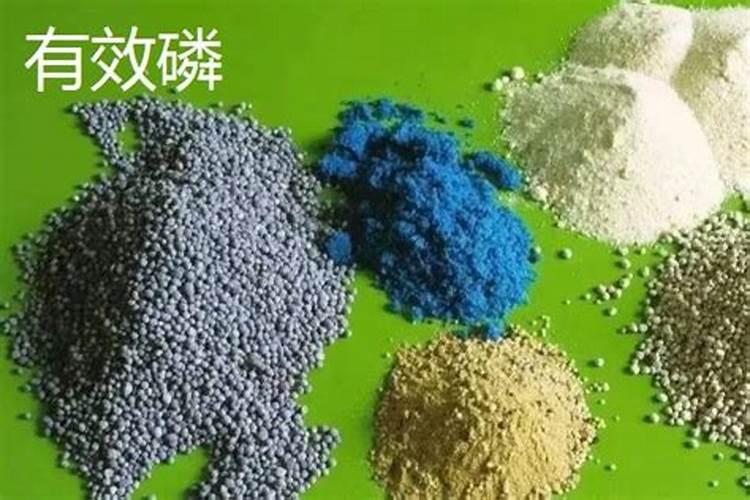 磷肥的主要成分