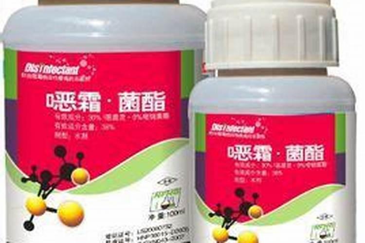 黄瓜新叶一出来发黄,请专家看看指教。什么情况,如何治疗