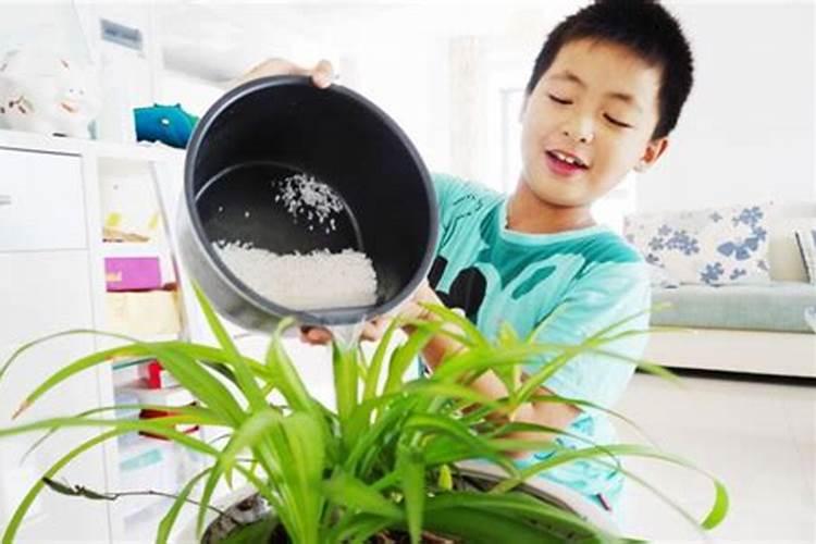 磷肥浇花的正确方法