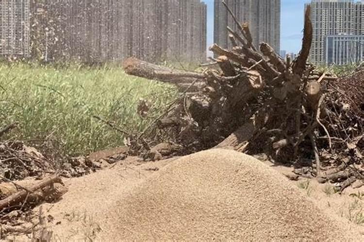 请问沤有机肥:有氧与无氧沤肥哪个比较好,各适用于什么场合？