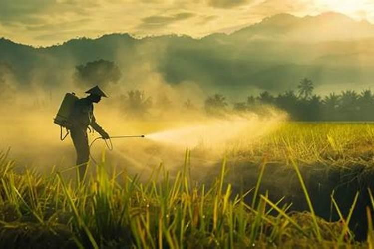 多菌灵水溶肥可以混合喷雾吗？