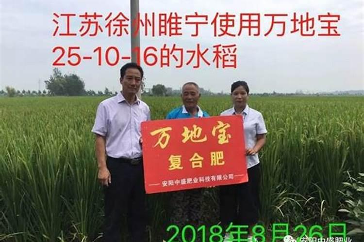 绣球花肥制作与使用方法