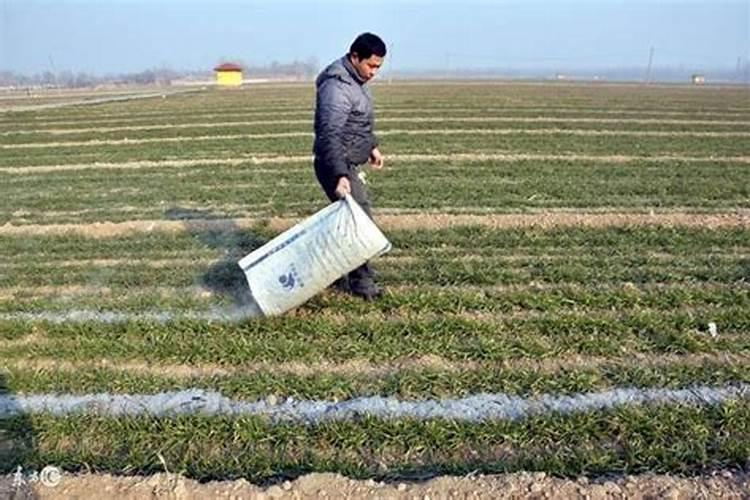 给土地施草木灰是什么肥料