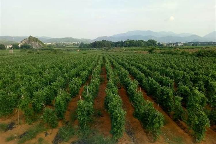 合格矿泉水有几项指标