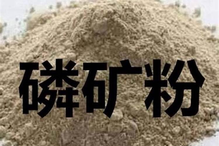品种？磷肥有哪些种类？