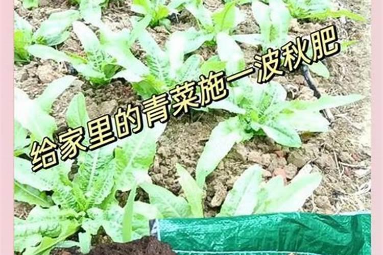 平衡水溶肥配方