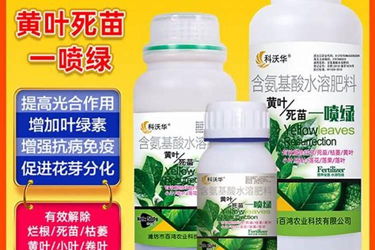 使叶面深绿的叶面肥,使叶色浓绿的是什么肥