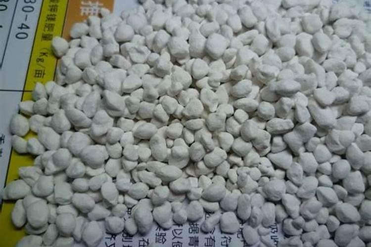 钾肥的合理施用技术