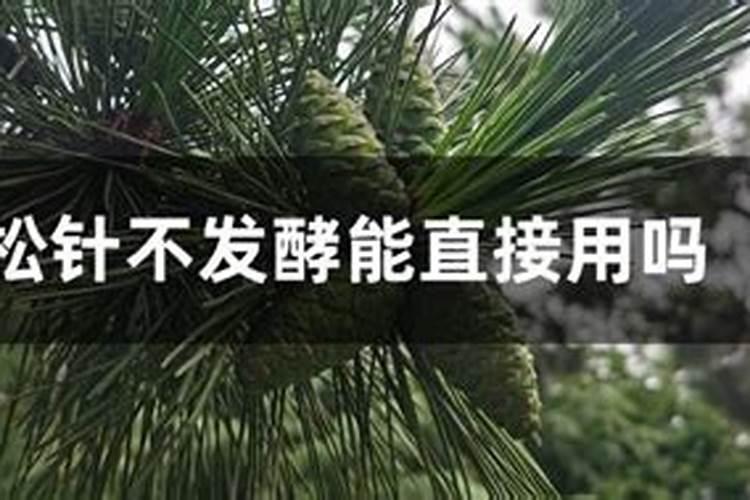 掉在树根下面发酵一段时间的松树毛可以当肥料使用吗？