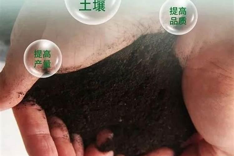 葡萄平衡肥多少时间用一次