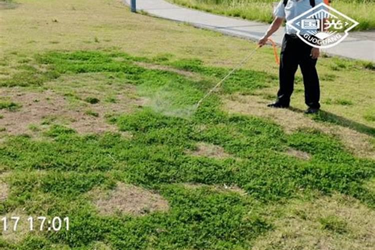 除草剂加尿素有什么作用