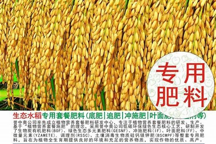 雪中奥羽绒服怎么样