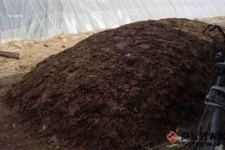 ...B.铁质菜刀生锈 C.人的呼吸过程 D.农家肥料的腐熟过