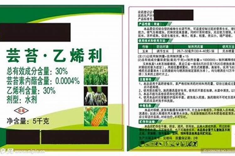 乙烯利可以和芸苔素一起用吗