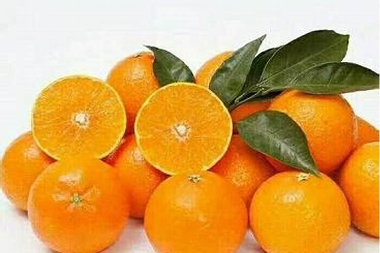 密桔树什么时候施肥最好？桔子树怎样使用水溶肥？