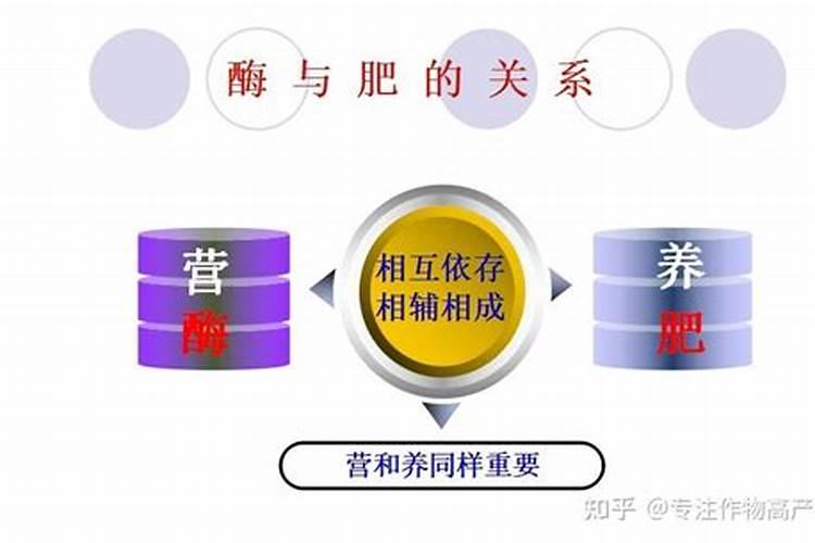 硼的缺乏与毒害