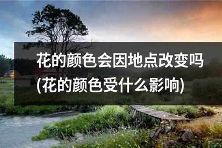 氮肥养花使用方法