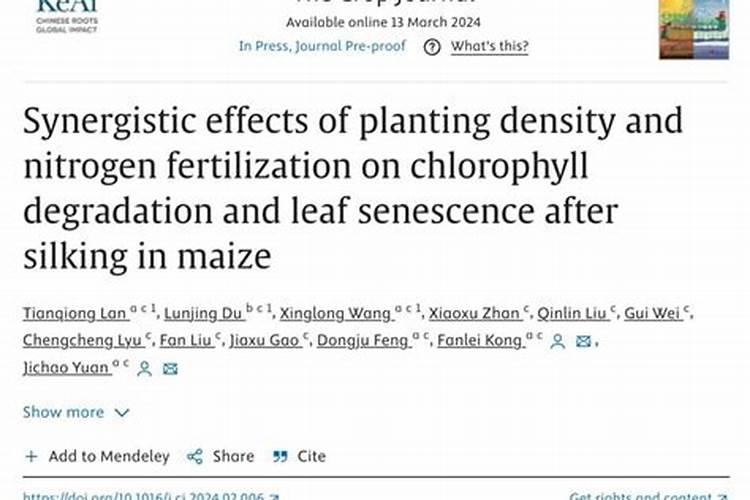 大姜卷叶是怎么回事