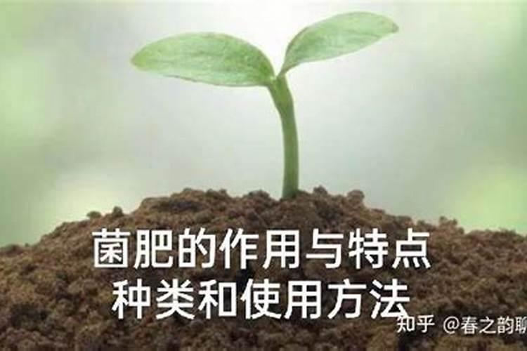 果树施兔子粪有哪些好处