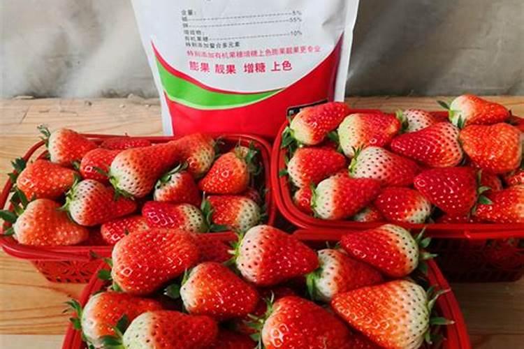 草莓施肥的方法