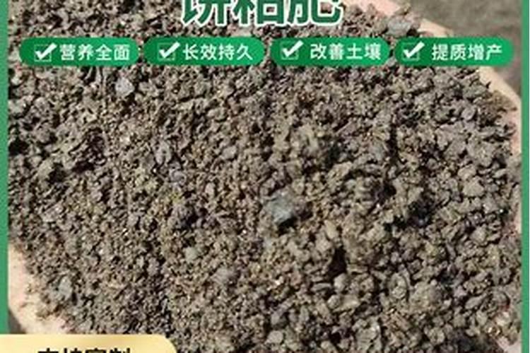 种大白菜应多施什么肥料？