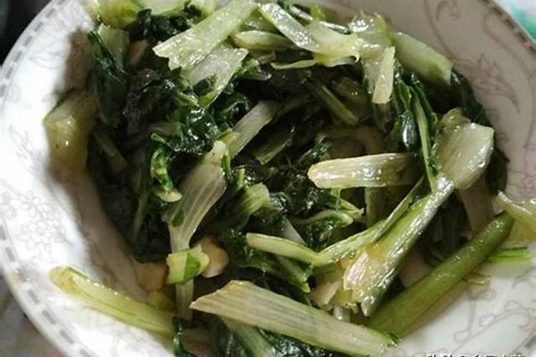 种菜多长时间可以施肥