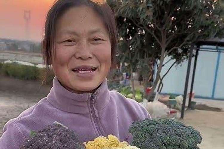 种菜多久施一次肥 种植多长时间需要施肥