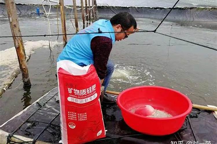 请问种植土豆用什么肥能获得高产呢？