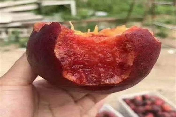 钾肥怎么用效果最好