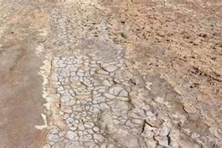 碱性土壤改良方法用什么肥