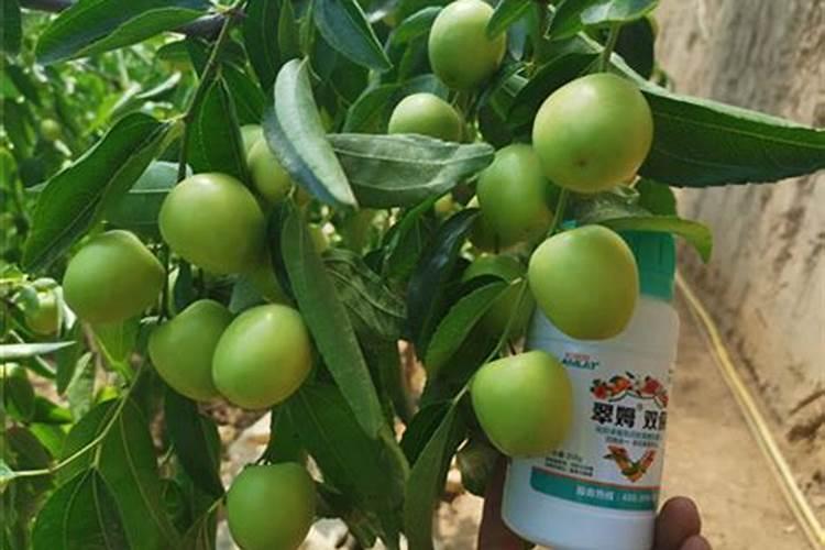 果树怎么施水溶肥？