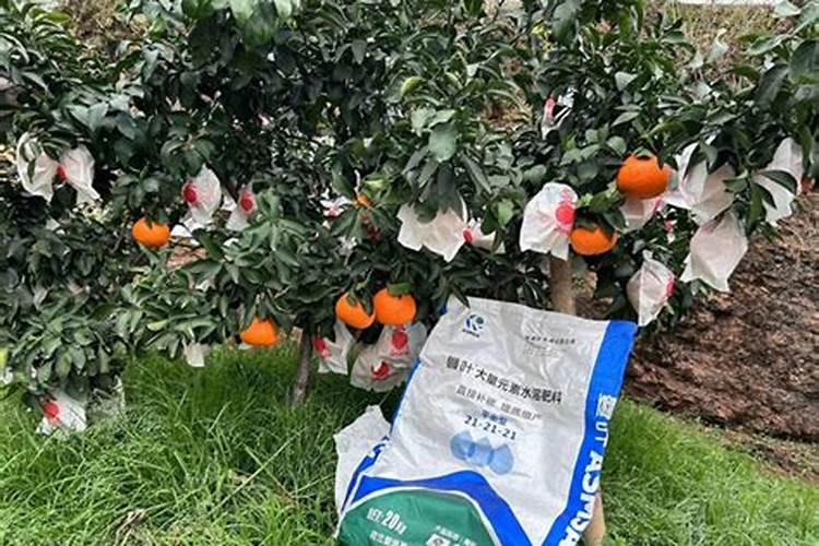 水溶肥的正确使用方法 水溶肥的使用方法