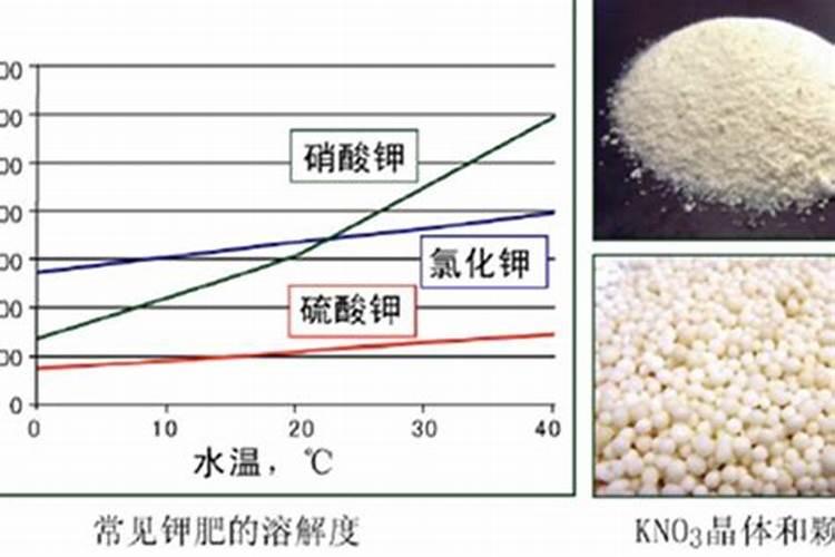 钙肥不能和哪些肥料共用