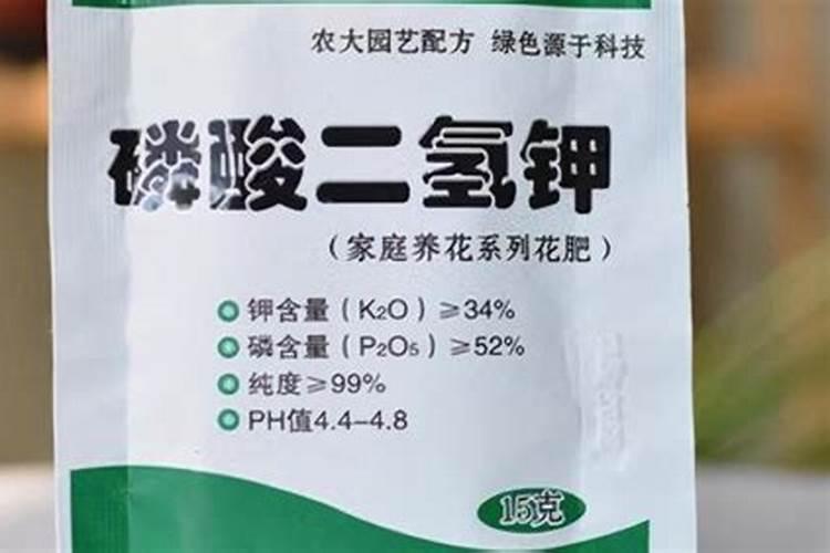 给大树施肥的正确方法